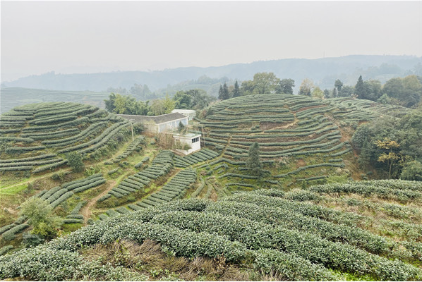 1659507175420248.png image.png