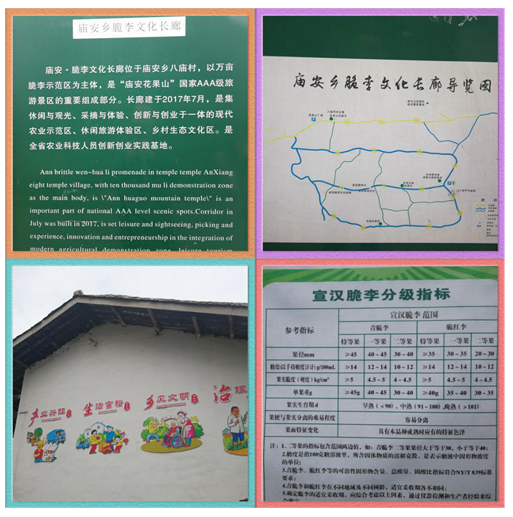 1659508576795227.png image.png