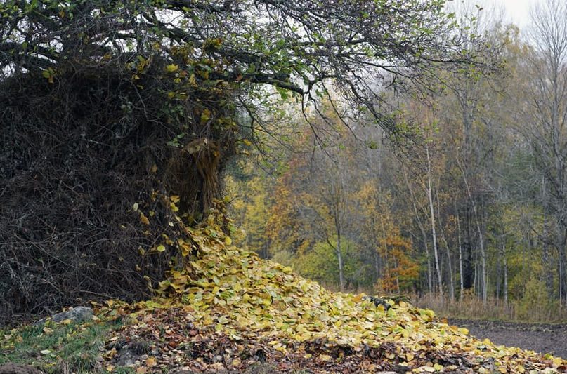 1668737219205777.png 7.png