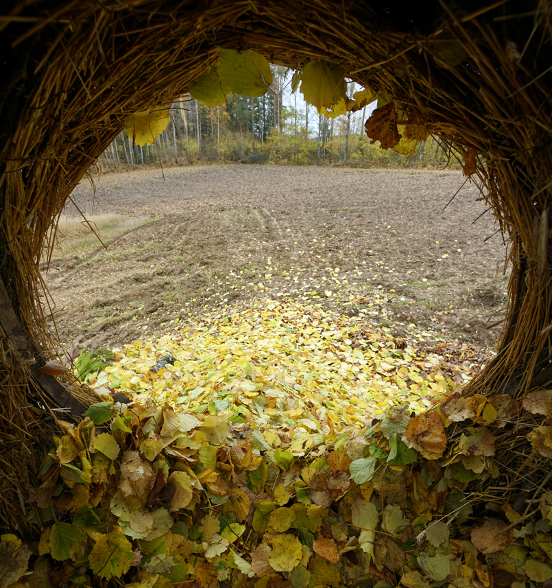 1668737243592160.png 9.png