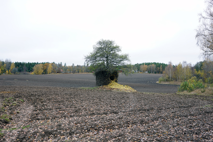 1668737577939814.png 10.png