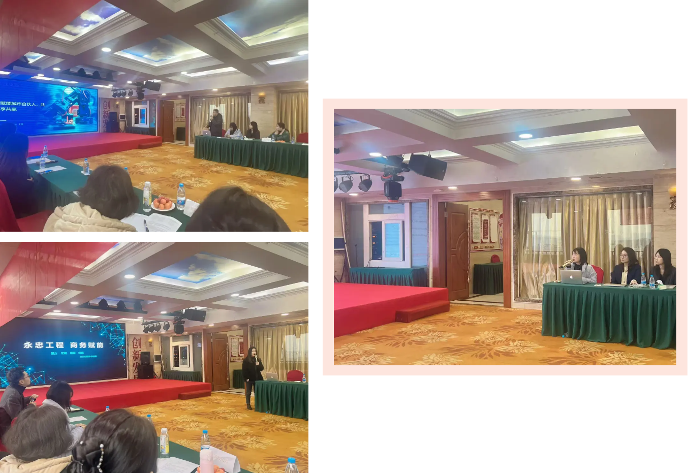 1740135319538456.png 1740135319538456.png